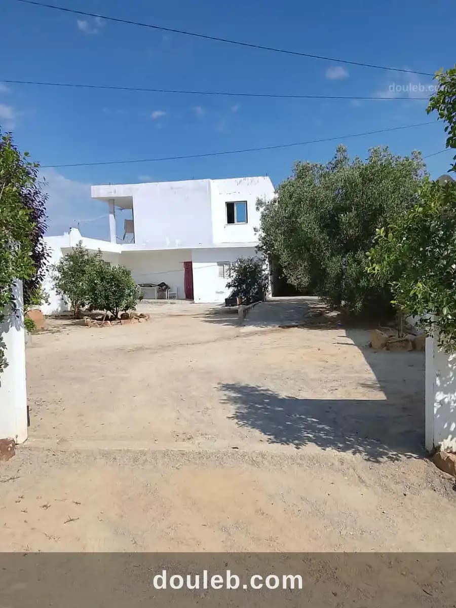 Av maison de 560m proche hamammet sud - Miniature 2