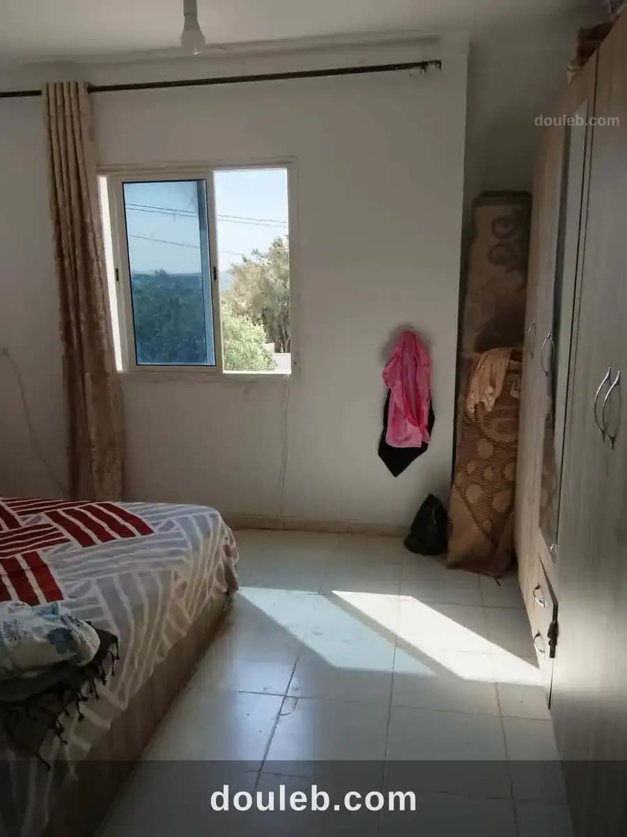 Av maison de 560m proche hamammet sud - Miniature 3