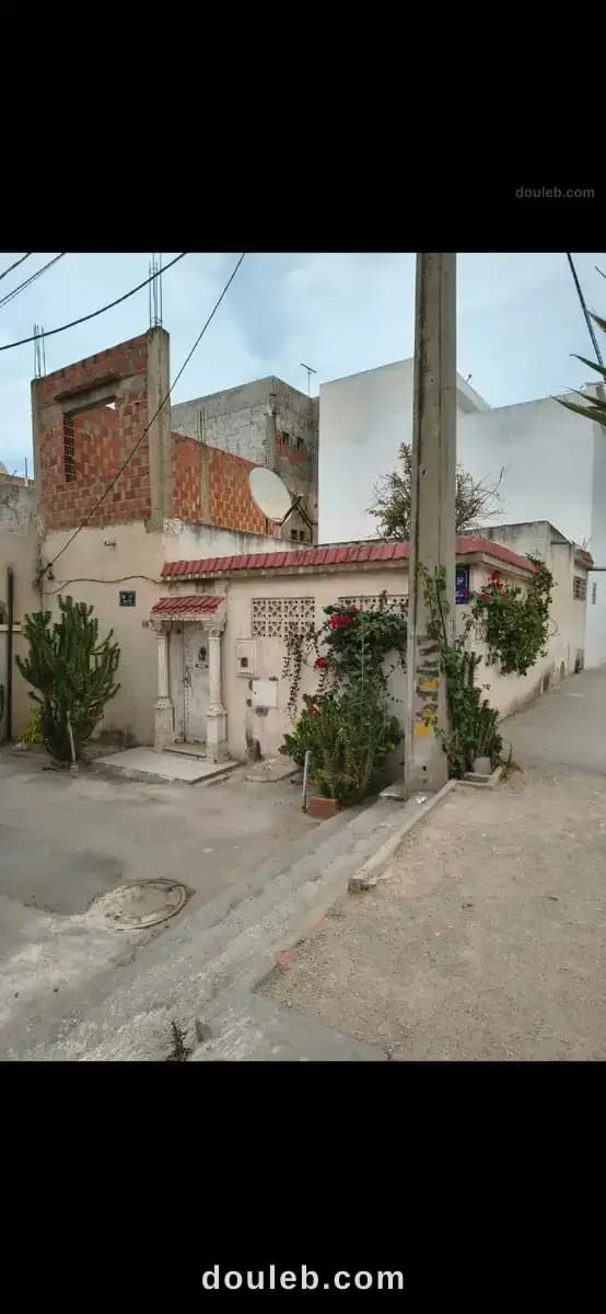 Excellente opportunitée à Tunis