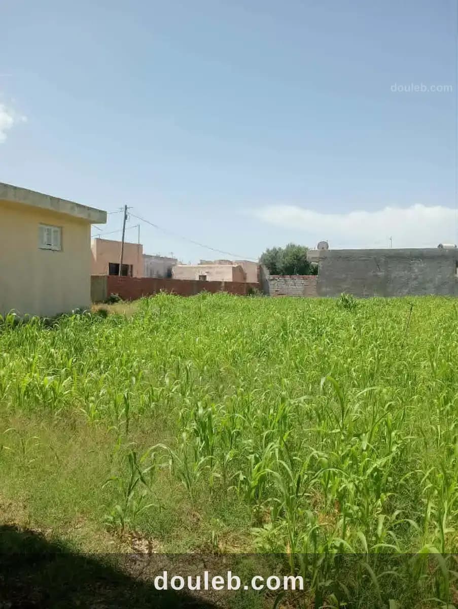 Maison 1400m2 sur deux routes à Nabeul