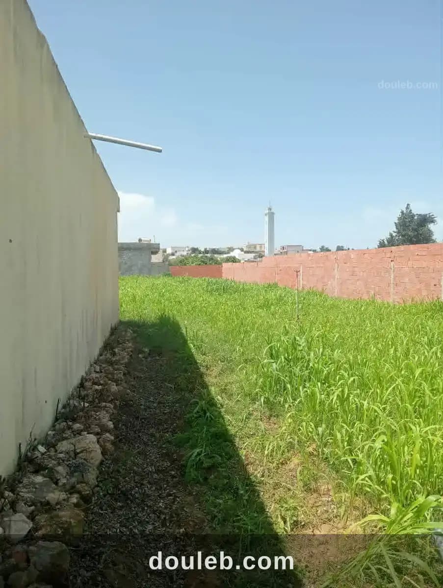 Maison 1400m2 sur deux routes - Miniature 5