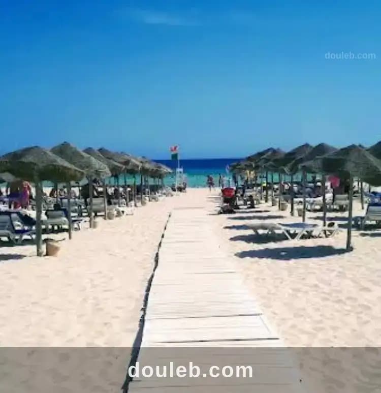 Djerba beau terrain 2500 m2 à côté du radisson blu - Miniature 3