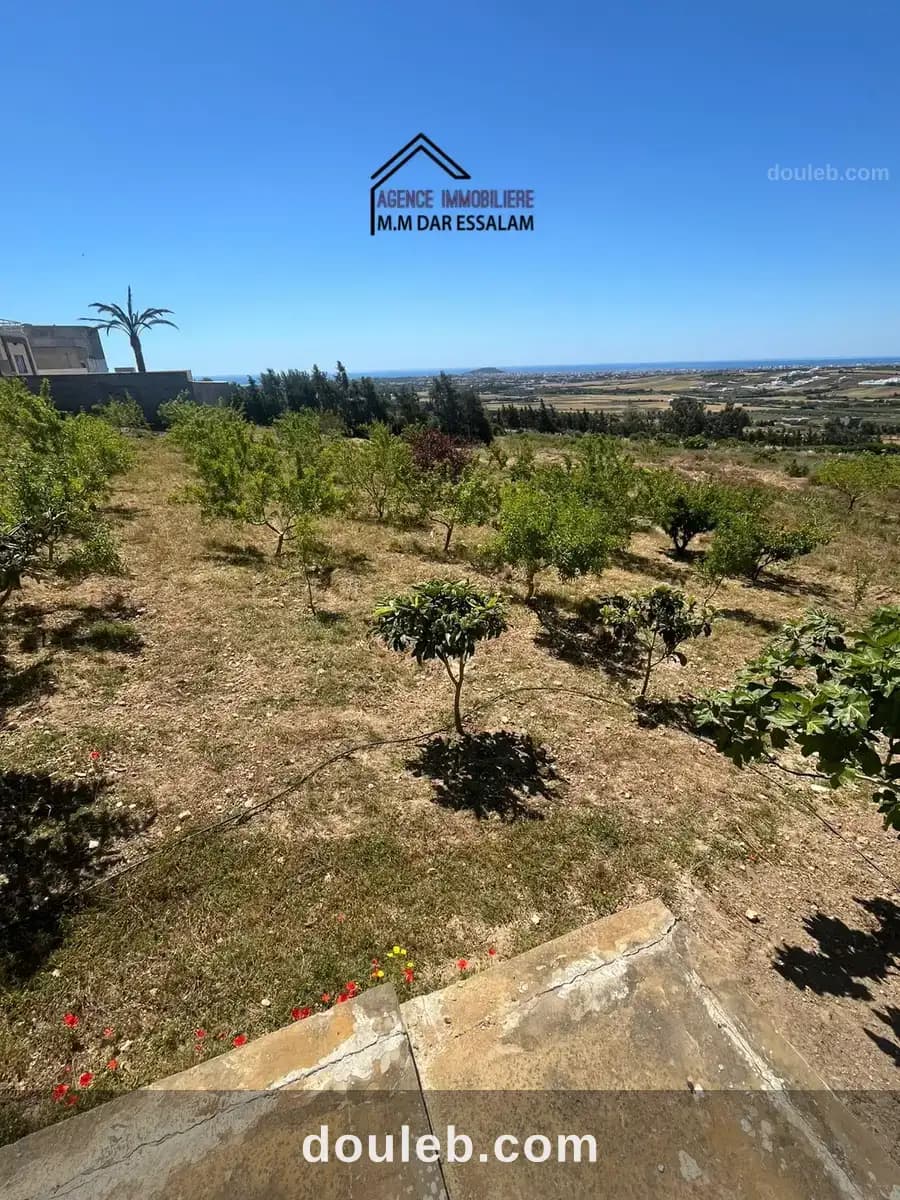 Terrain avec une vue agréable - Miniature 5