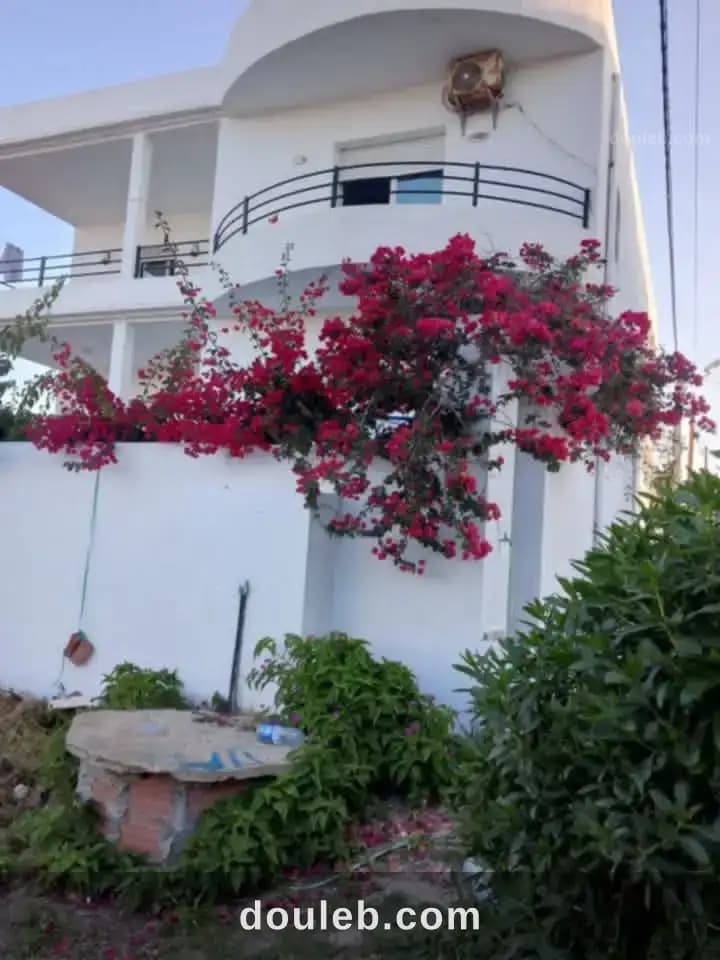 Maison daar alouch - Miniature 5