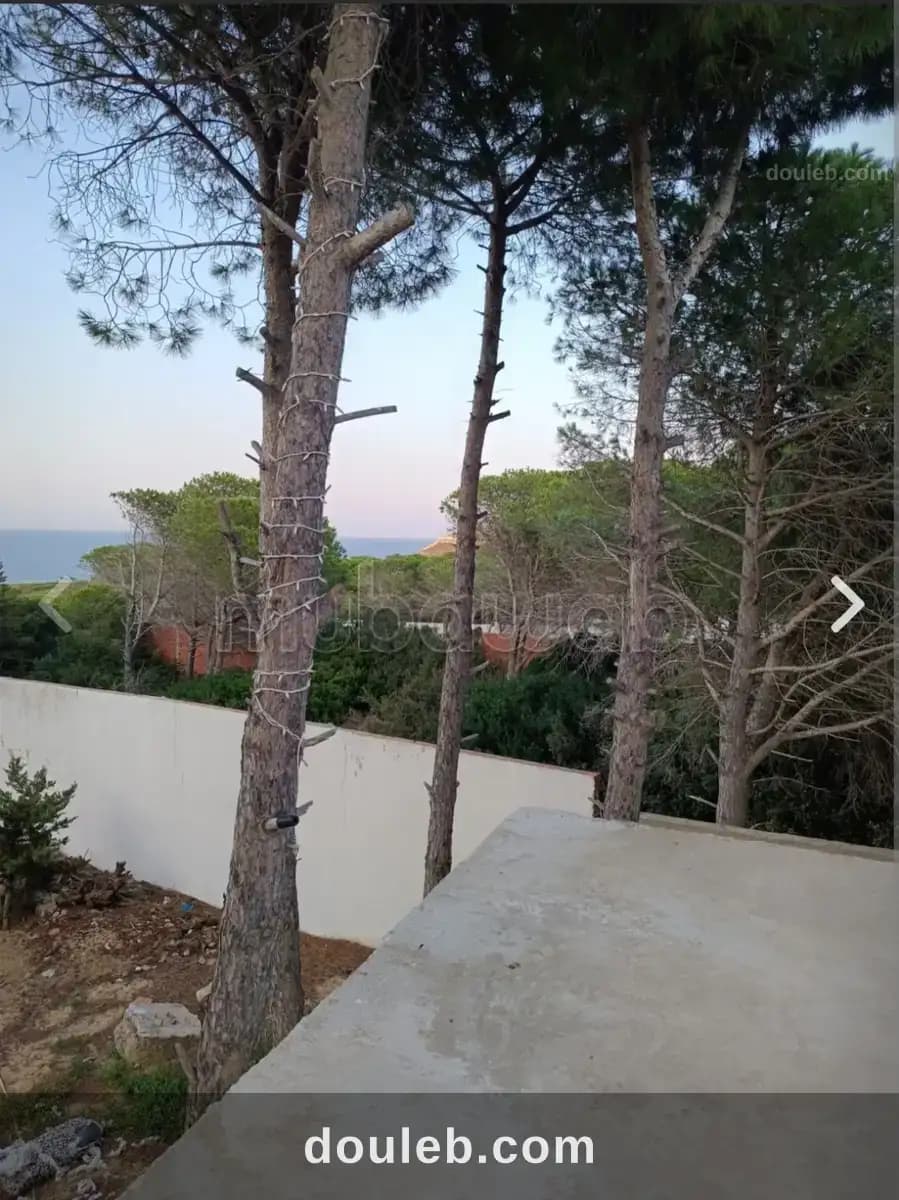 Terrain la grotte bizerte - Photo 1
