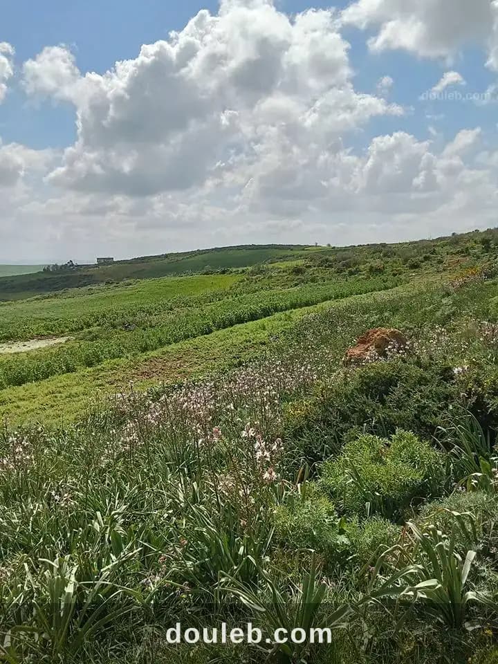 Terrain a vende a bechateur - Photo 1