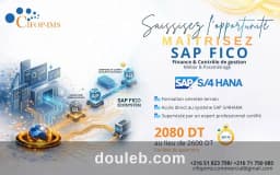 Formation sap fico