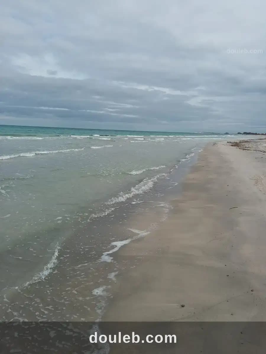 Terrain en bord de la mer - Photo 1