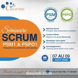 Séminaires d'été