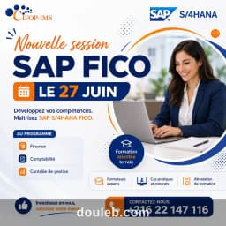 Formation sap fico