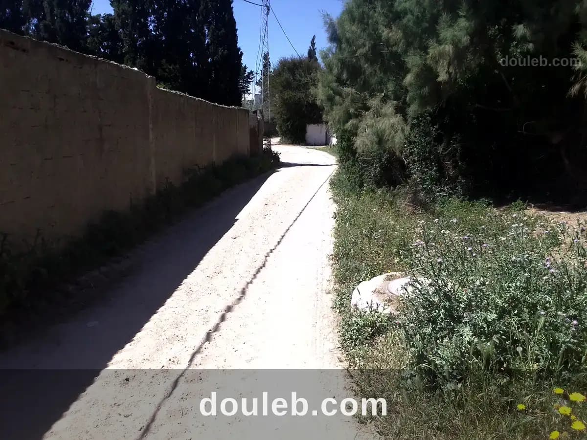 Maison terrain route plage mami rasjbal à Bizerte