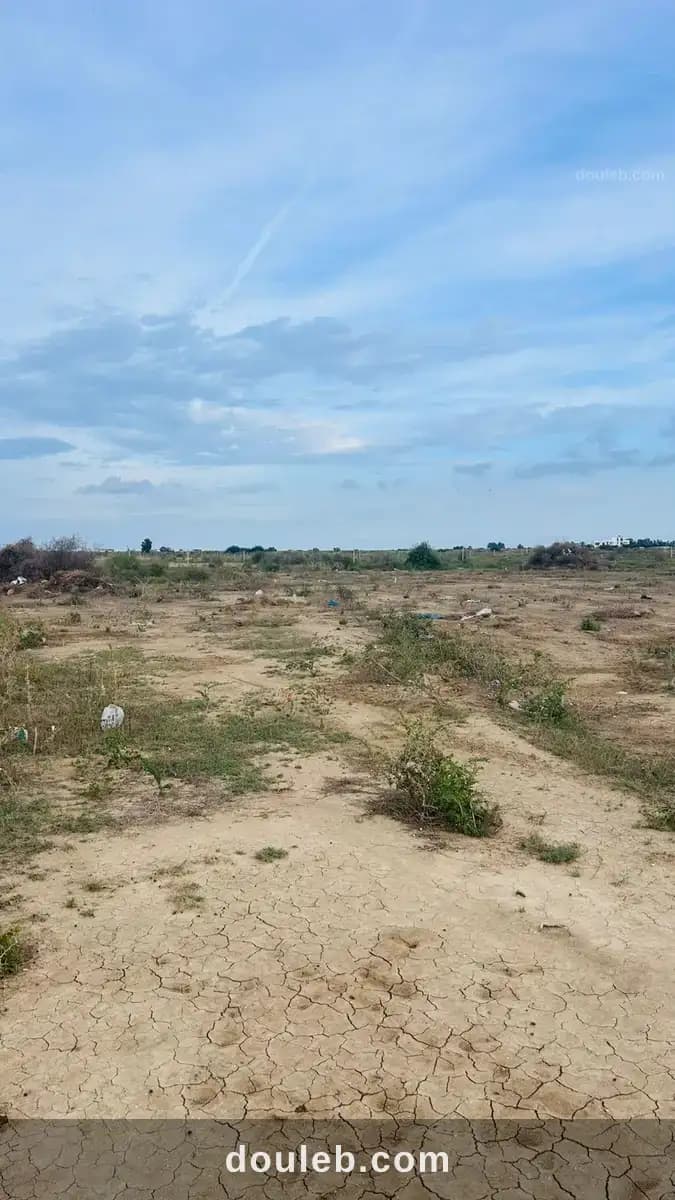 Terrain boufich - Photo 1