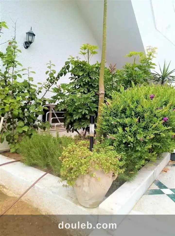 Etage de villa s3 menzah 9 pres l'espoir - Miniature 2