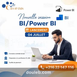 Formation en analyse des données bi power bi