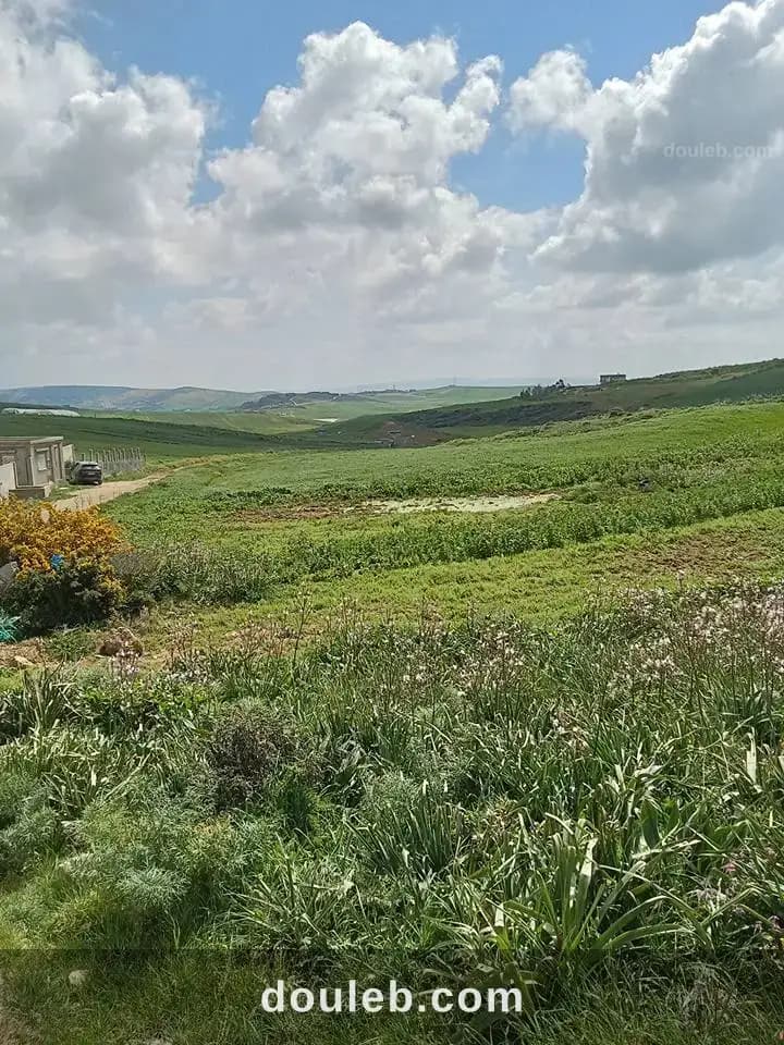 Terrain agricole a bechateur - Miniature 2