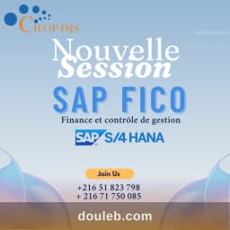 Formation sap fico s 4hana