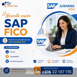 Formation sap fico s4hana