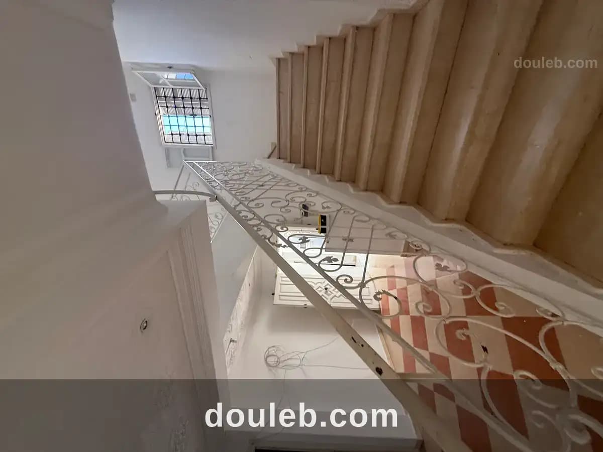 Duplexbouhsina - Miniature 3