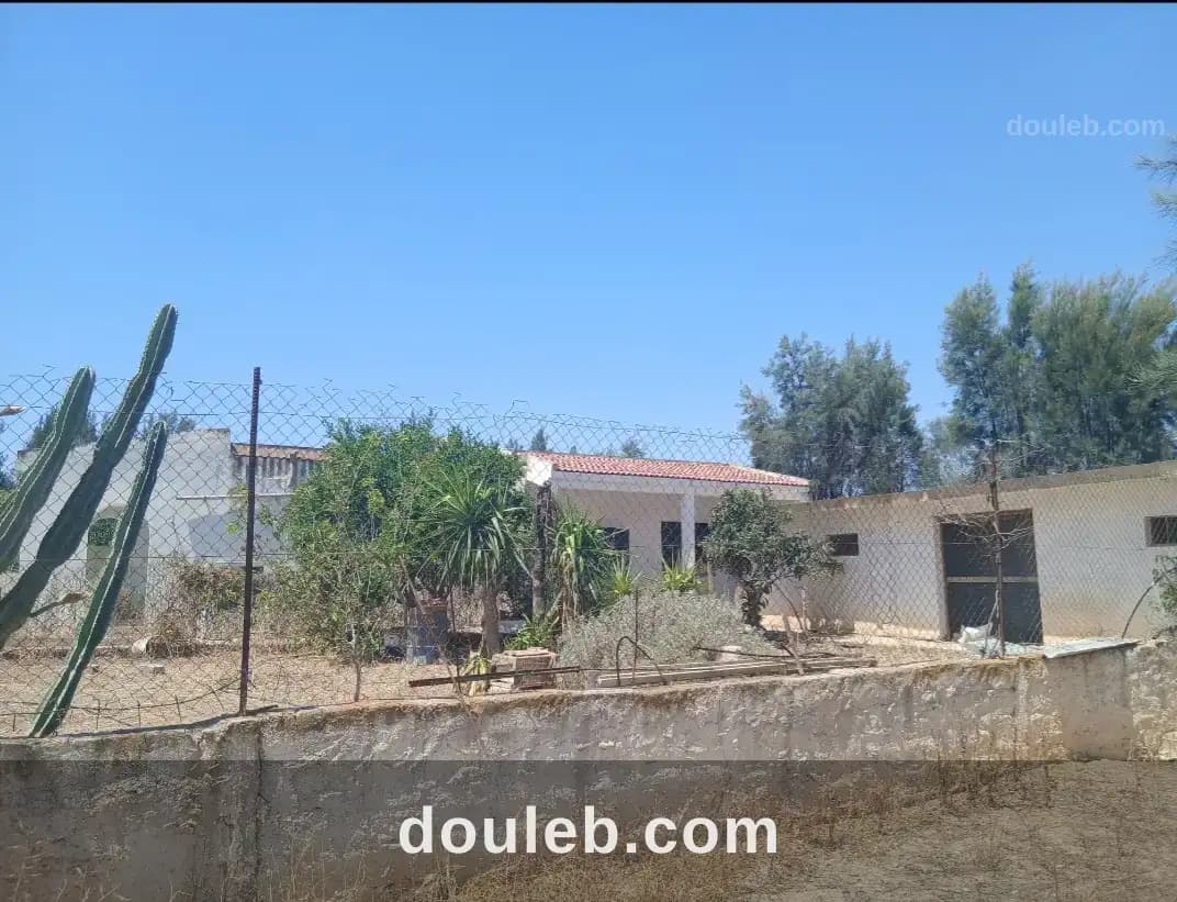 Ferme agricole de 10 hectares avec 1 500 oliviers à Zaghouan