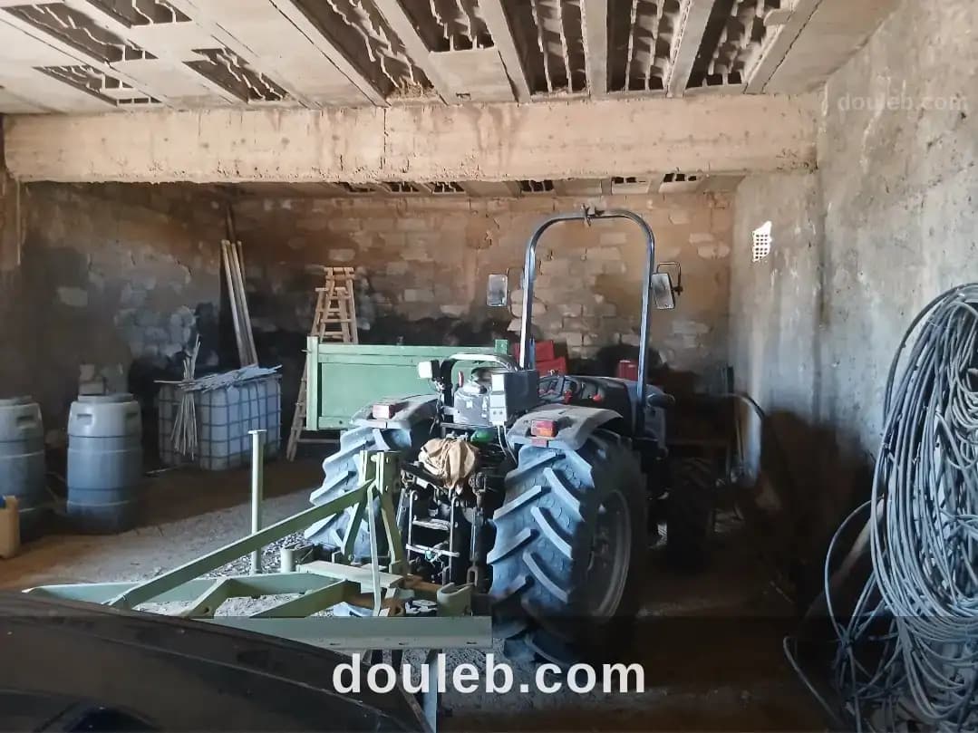 Ferme agricole de 10 hectares avec 1 500 oliviers - Miniature 4