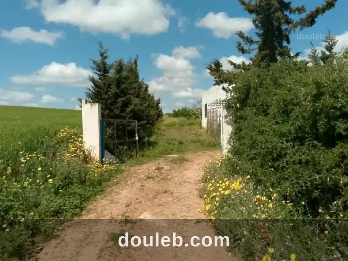 Ferme à chaouat jedeida la manouba à Manouba
