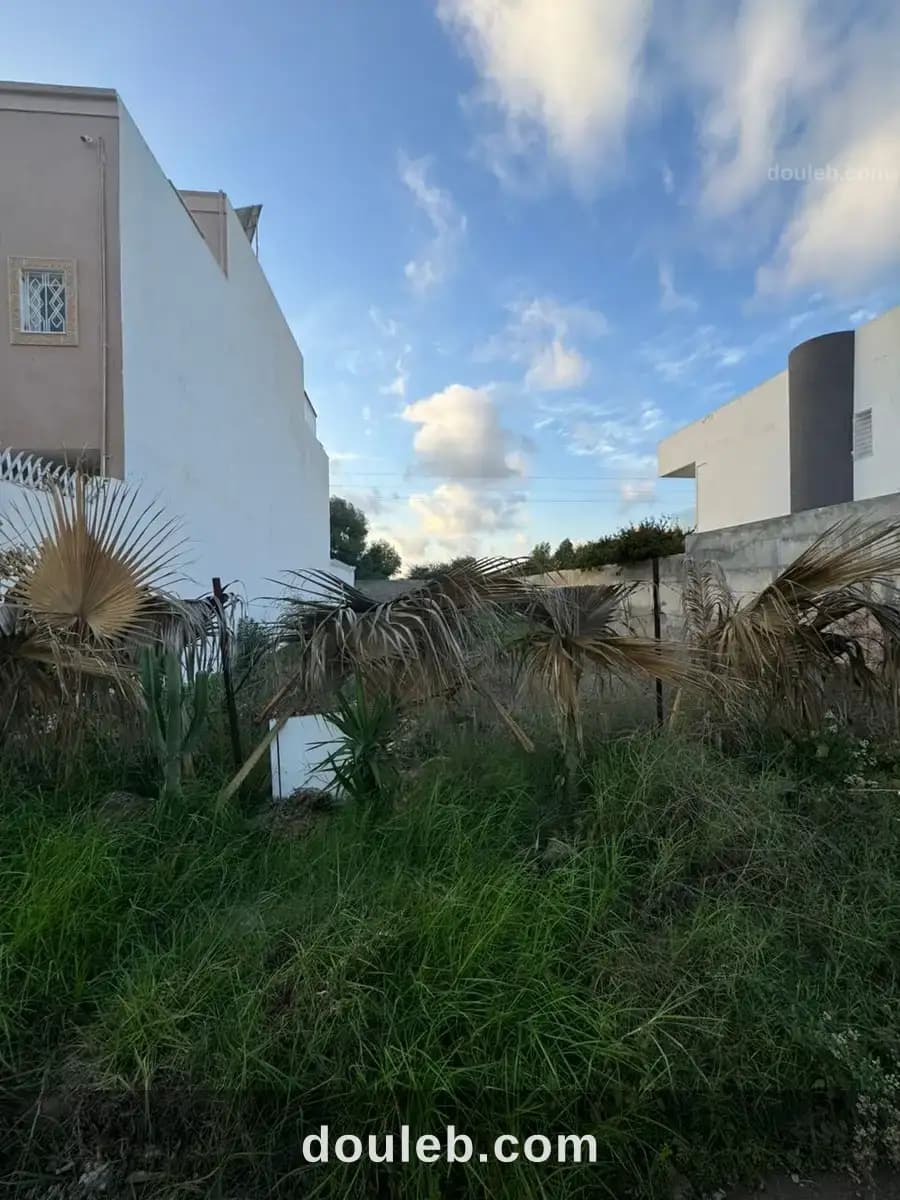 Terrain hammamet - Photo 1
