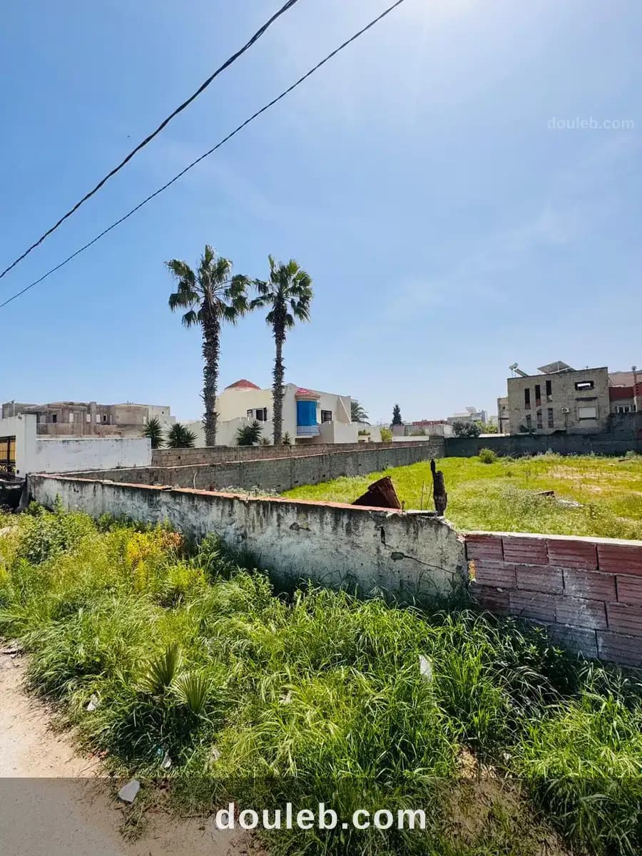 Terrain à la soukra - Miniature 3