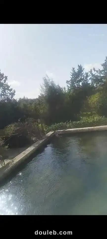 Une magnifique orangeraie - Miniature 3