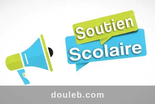 Cours niveau primaire a domicile ou en ligne à Ariana