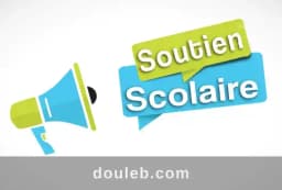 Cours niveau primaire a domicile ou en ligne