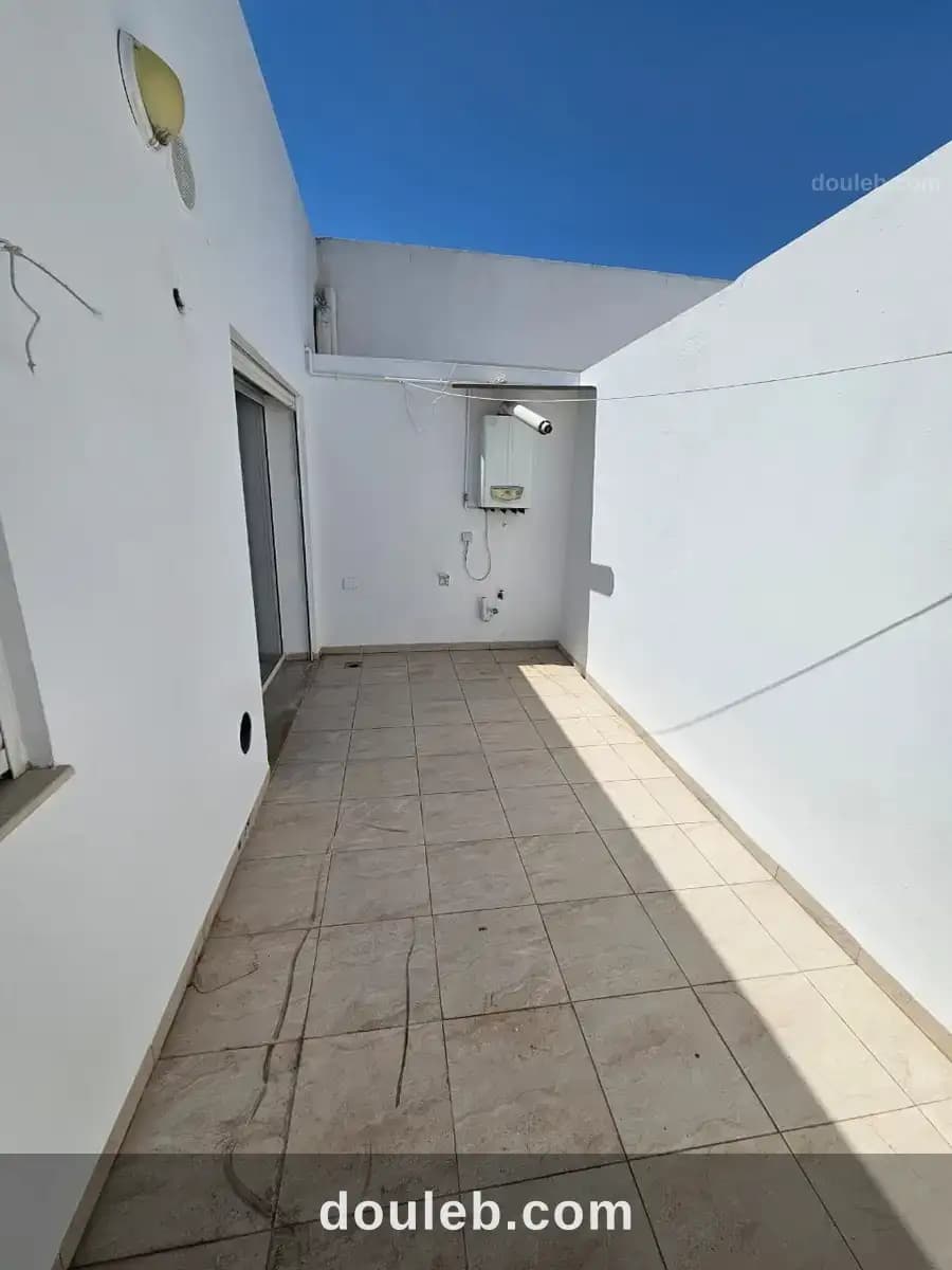 S plus un en face boeuf sur le toit soukra - Miniature 3