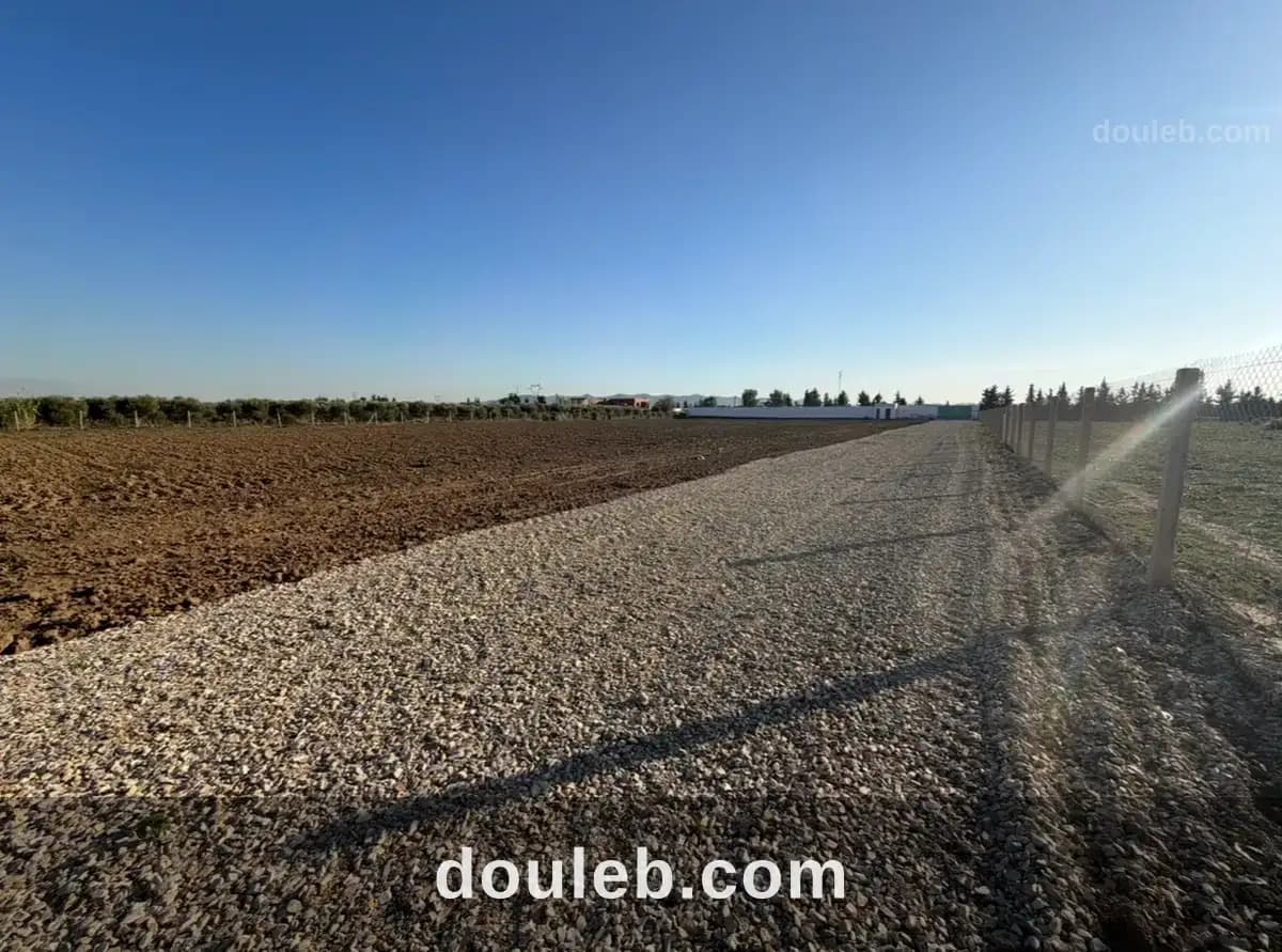 1 hectare et 6000 m2 à 35d le mètre - Miniature 2
