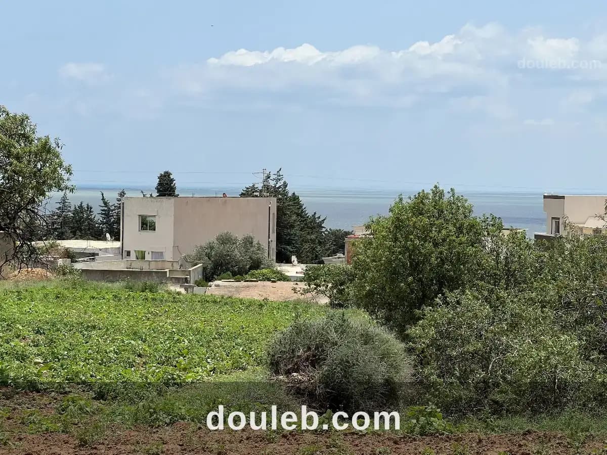 Terrain d'exception 1645 m2 ghar el melh - Miniature 3