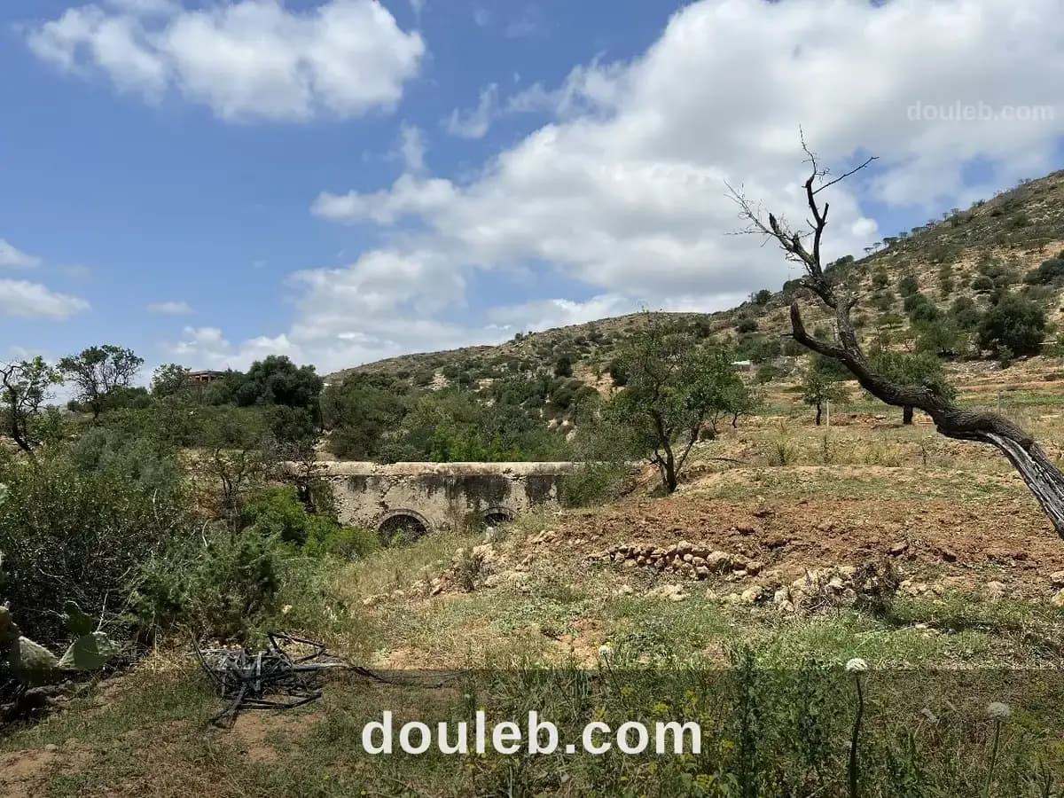 Terrain d'exception 1645 m2 ghar el melh - Miniature 4