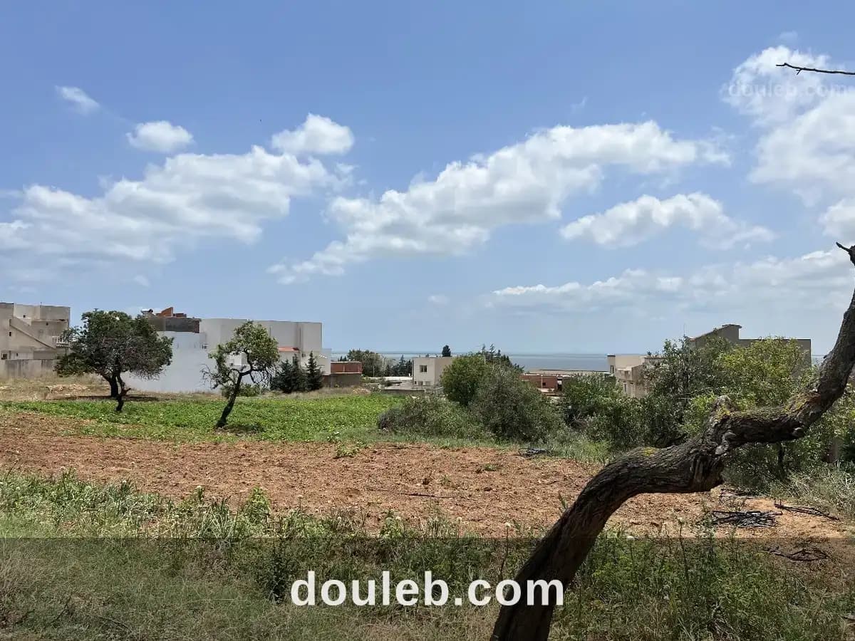 Terrain d'exception 1645 m2 ghar el melh - Miniature 5