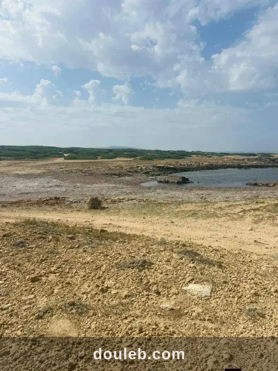 Offre 20000 à Nabeul