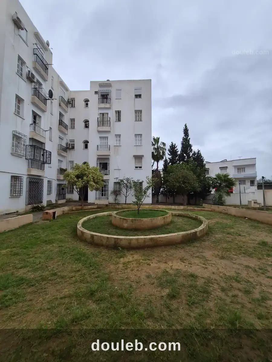 S2 à mourouj 2 - Miniature 5