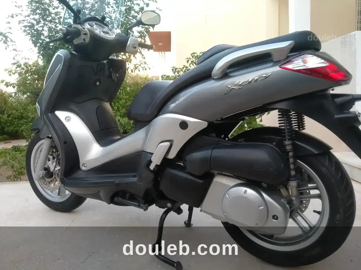 Yamaha 250 - Miniature 4