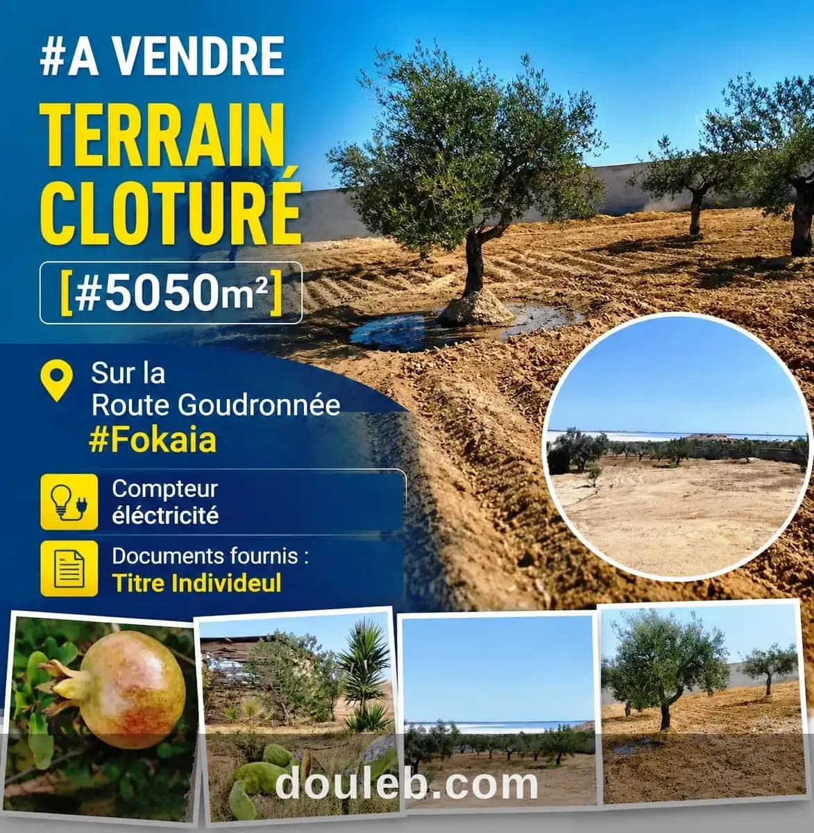 Terrain cloturé 5050m sur route goudronnée fokaia à Sousse