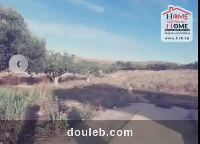 Ferme amande à mornaguia à Manouba