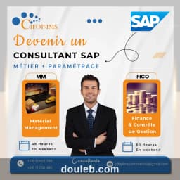 Formation sap fico et mm sd