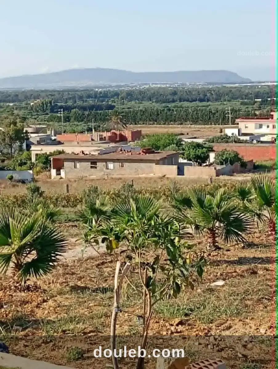 Maison de 4000m2 - Miniature 2