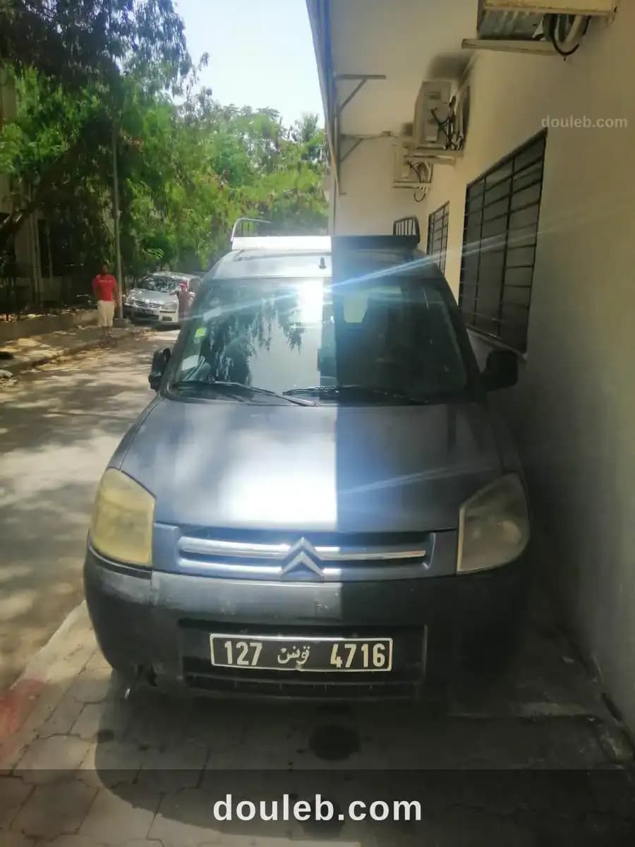 Brlingo gris - Photo 1