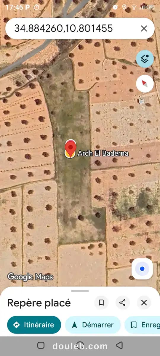 Terrain asl zaitoun 15 marjaa à Sfax