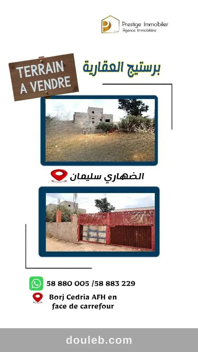 Terrain surface agricole à Nabeul