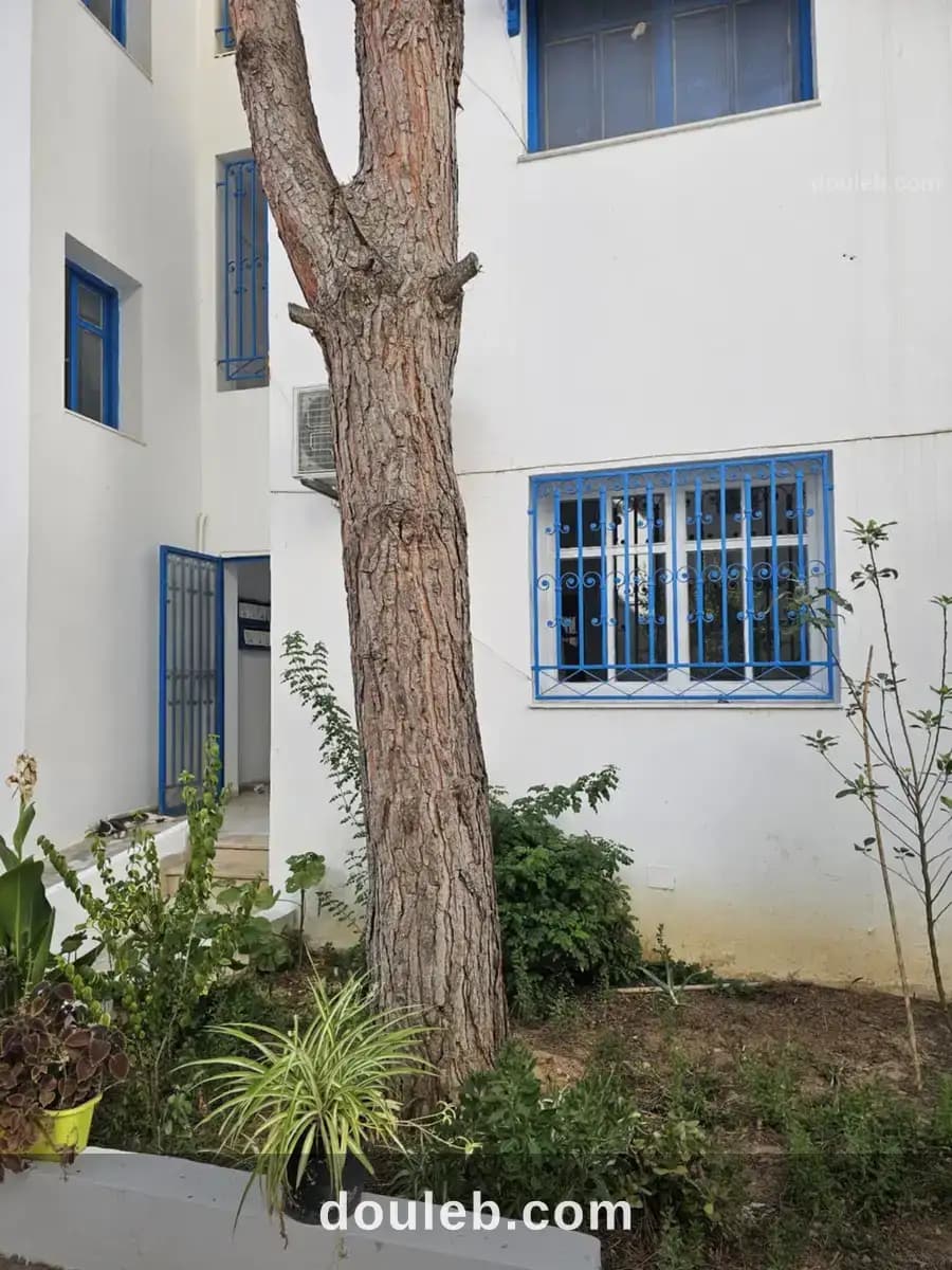 S2 à sidi bou said amilcar - Miniature 2