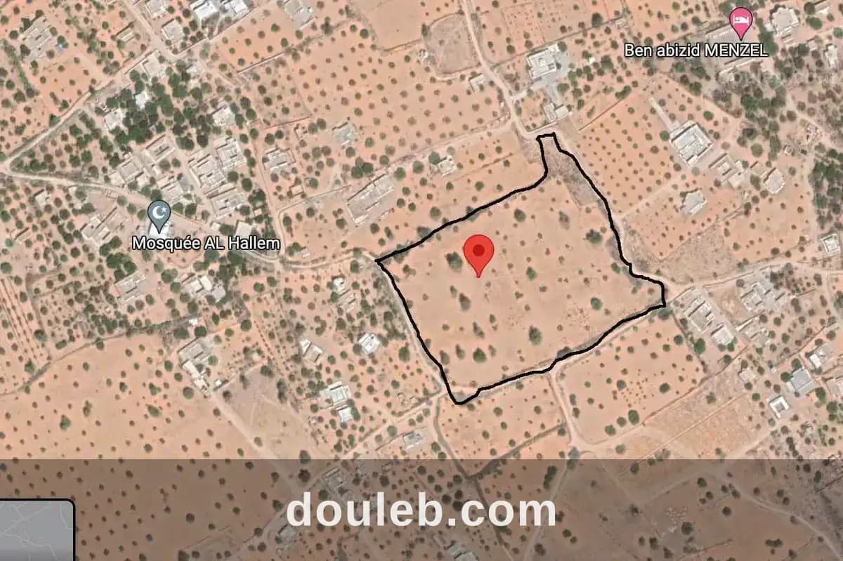 3 hectares a jerba à Médenine