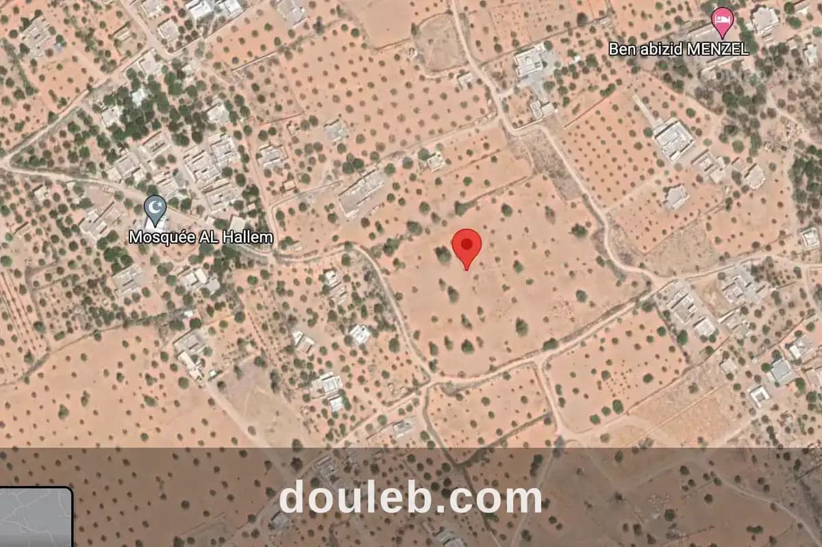 3 hectares a jerba - Miniature 2