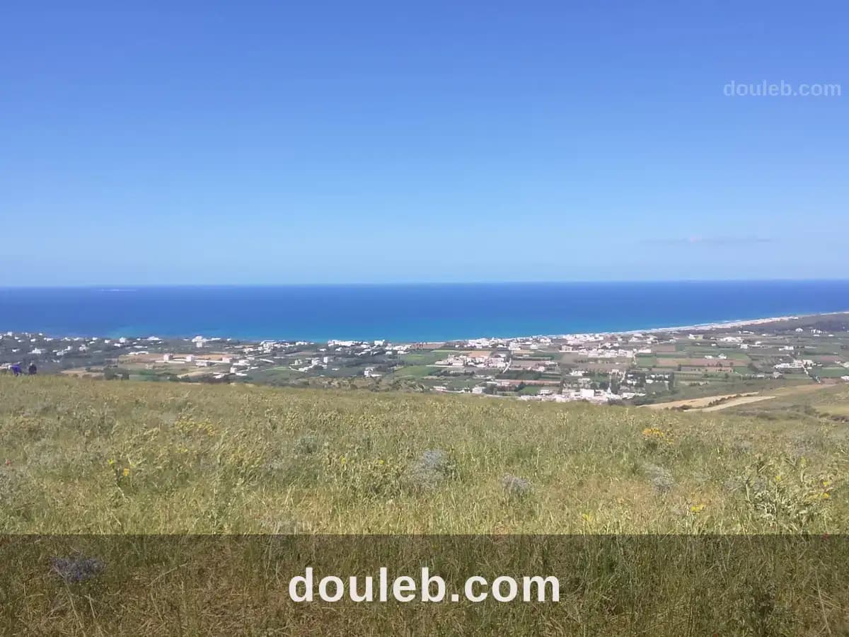 Terrain 1 hectare à ras jebal bizerte à Bizerte