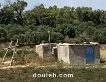 Terrain agricole 3 hectares avec puits et bassin - Miniature 3